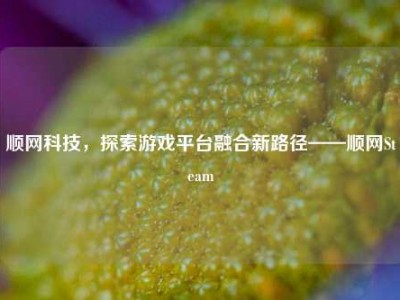 顺网科技，探索游戏平台融合新路径——顺网Steam