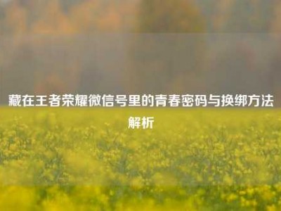 藏在王者荣耀微信号里的青春密码与换绑方法解析