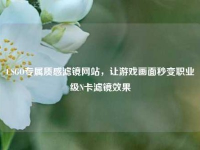 CSGO专属质感滤镜网站，让游戏画面秒变职业级N卡滤镜效果