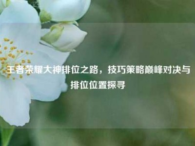 王者荣耀大神排位之路，技巧策略巅峰对决与排位位置探寻