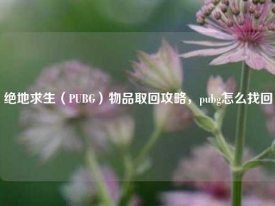 绝地求生（PUBG）物品取回攻略，pubg怎么找回
