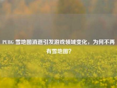 PUBG 雪地图消逝引发游戏领域变化，为何不再有雪地图？