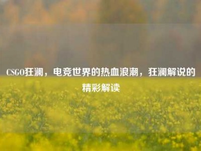 CSGO狂澜，电竞世界的热血浪潮，狂澜解说的精彩解读