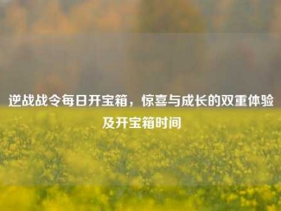 逆战战令每日开宝箱，惊喜与成长的双重体验及开宝箱时间