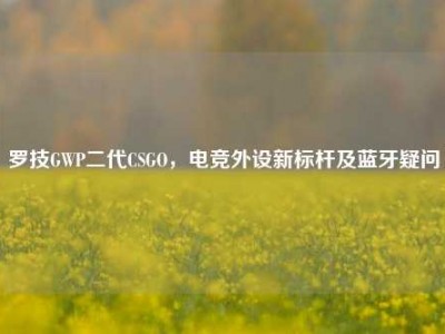 罗技GWP二代CSGO，电竞外设新标杆及蓝牙疑问