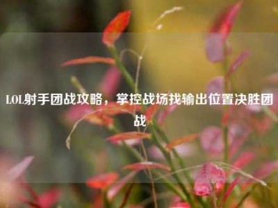 LOL射手团战攻略，掌控战场找输出位置决胜团战