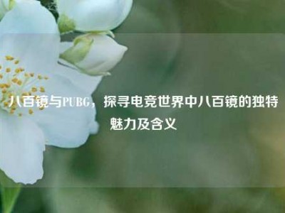 八百镜与PUBG，探寻电竞世界中八百镜的独特魅力及含义