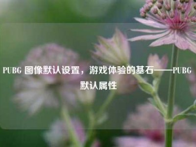 PUBG 图像默认设置，游戏体验的基石——PUBG 默认属性