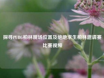 探寻PUBG柏林现场位置及绝地求生柏林邀请赛比赛视频