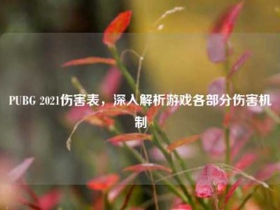 PUBG 2021伤害表，深入解析游戏各部分伤害机制