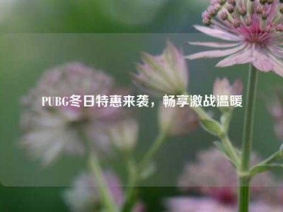 PUBG冬日特惠来袭，畅享激战温暖