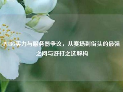 PUBG实力与服务器争议，从赛场到街头的最强之问与好打之选解构