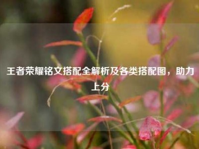王者荣耀铭文搭配全解析及各类搭配图，助力上分