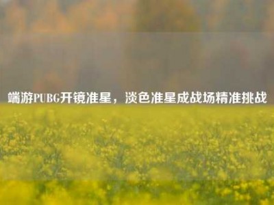 端游PUBG开镜准星，淡色准星成战场精准挑战