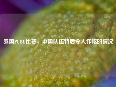 泰国PUBG比赛，中国队伍背后令人作呕的情况