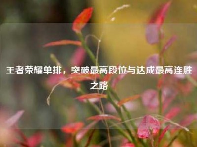 王者荣耀单排，突破最高段位与达成最高连胜之路