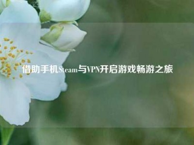 借助手机Steam与VPN开启游戏畅游之旅