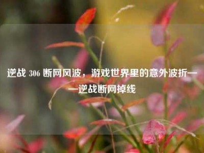 逆战 306 断网风波，游戏世界里的意外波折——逆战断网掉线