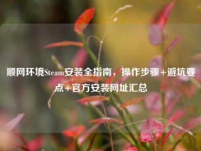 顺网环境Steam安装全指南，操作步骤+避坑要点+官方安装网址汇总