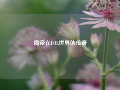 魔帝在LOL世界的传奇