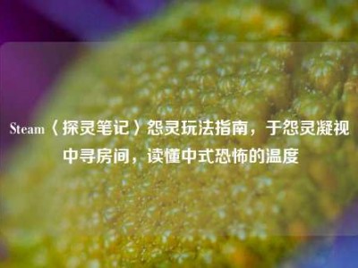 Steam〈探灵笔记〉怨灵玩法指南，于怨灵凝视中寻房间，读懂中式恐怖的温度