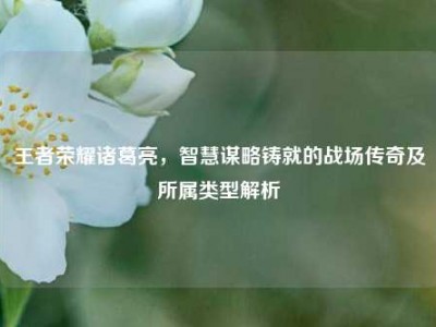 王者荣耀诸葛亮，智慧谋略铸就的战场传奇及所属类型解析