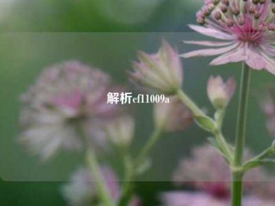 解析cf11009a