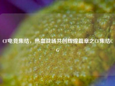 CF电竞集结，热血战场共创辉煌篇章之CF集结CG