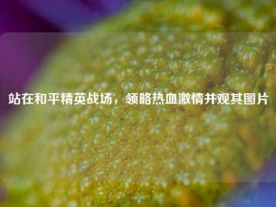 站在和平精英战场，领略热血激情并观其图片