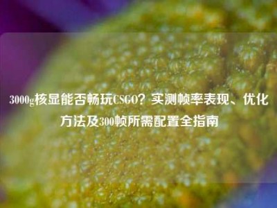 3000g核显能否畅玩CSGO？实测帧率表现、优化方法及300帧所需配置全指南