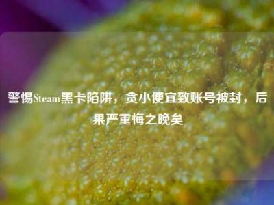 警惕Steam黑卡陷阱，贪小便宜致账号被封，后果严重悔之晚矣