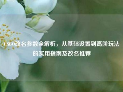 CSGO改名参数全解析，从基础设置到高阶玩法的实用指南及改名推荐