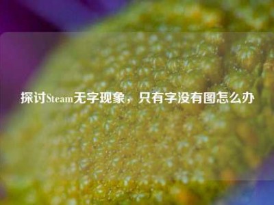 探讨Steam无字现象，只有字没有图怎么办
