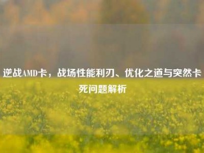 逆战AMD卡，战场性能利刃、优化之道与突然卡死问题解析