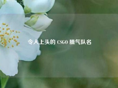 令人上头的 CSGO 臊气队名