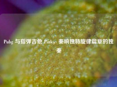 Pubg 与指弹吉他 Pink，奏响独特旋律篇章的独奏