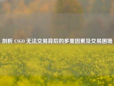 剖析 CSGO 无法交易背后的多重因素及交易困境