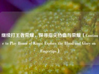 继续打王者荣耀，探寻指尖热血与荣耀（Continue to Play Honor of Kings: Explore the Blood and Glory on Fingertips）