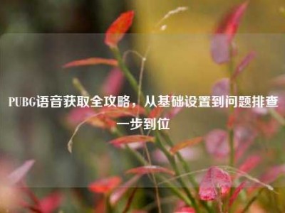 PUBG语音获取全攻略，从基础设置到问题排查一步到位