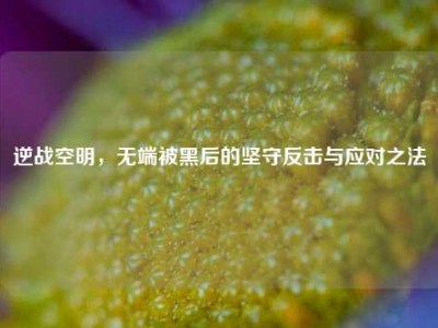 逆战空明，无端被黑后的坚守反击与应对之法