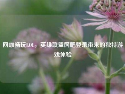 网咖畅玩LOL，英雄联盟网吧登录带来的独特游戏体验