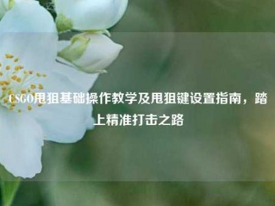 CSGO甩狙基础操作教学及甩狙键设置指南，踏上精准打击之路
