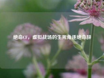 绝命CF，虚拟战场的生死角逐绝命辞