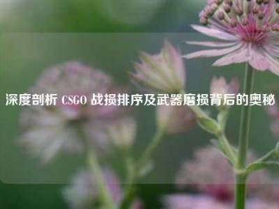 深度剖析 CSGO 战损排序及武器磨损背后的奥秘