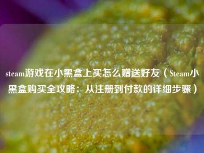 steam游戏在小黑盒上买怎么赠送好友（Steam小黑盒购买全攻略：从注册到付款的详细步骤）