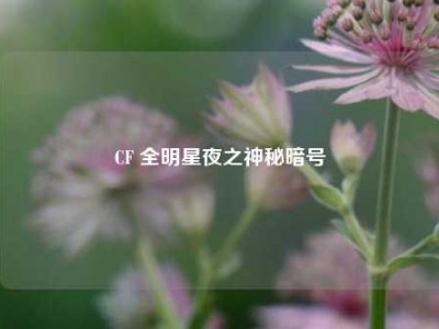 CF 全明星夜之神秘暗号