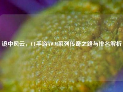 镜中风云，CF手游AWM系列传奇之路与排名解析
