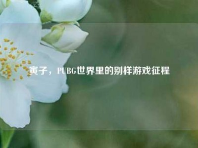 寅子，PUBG世界里的别样游戏征程