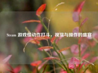 Steam 游戏慢动作打斗，视觉与操作的盛宴