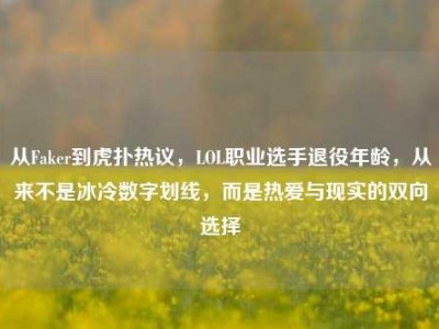 从Faker到虎扑热议，LOL职业选手退役年龄，从来不是冰冷数字划线，而是热爱与现实的双向选择